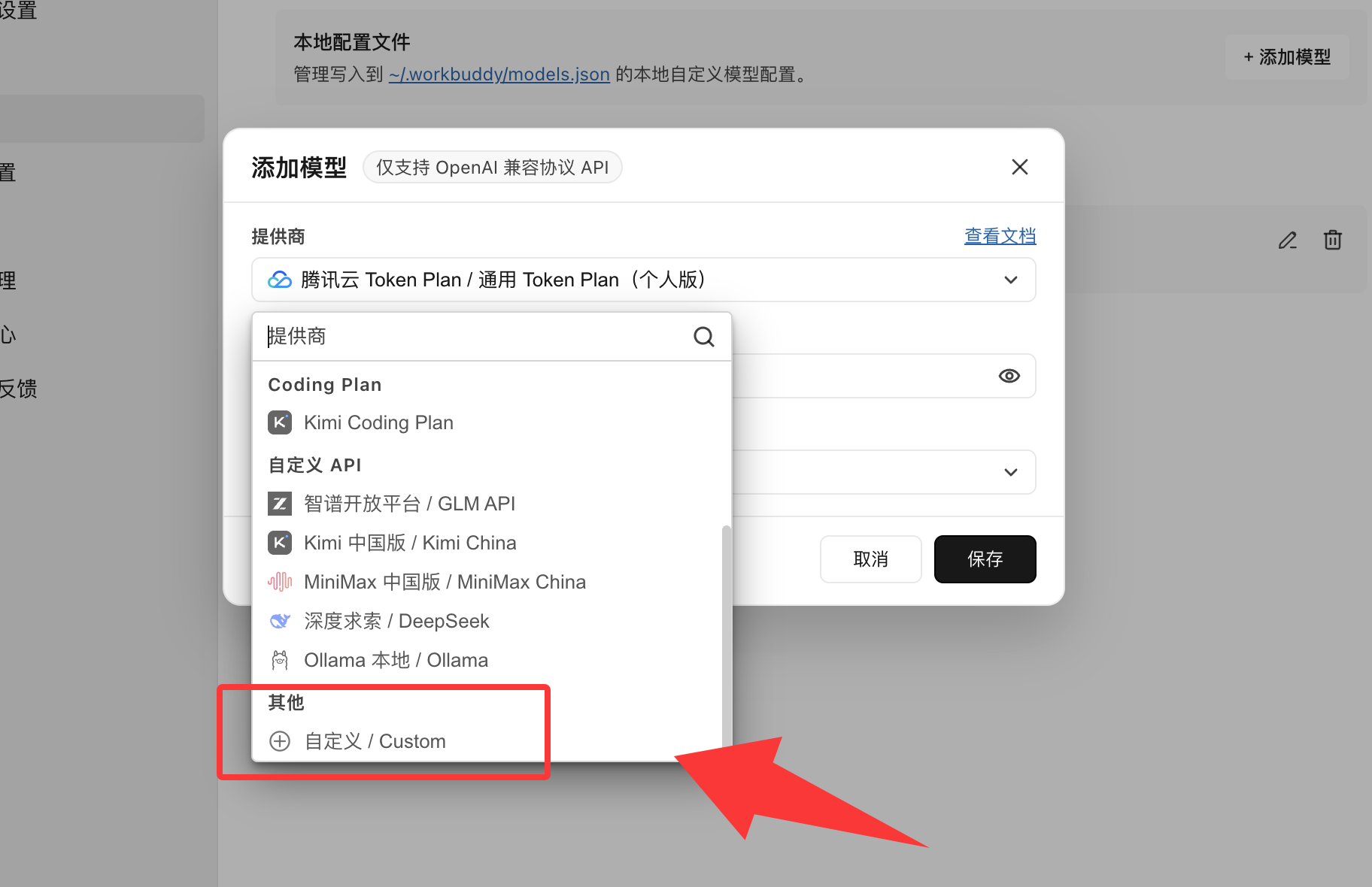 WorkBuddy 提供商选择自定义 Custom